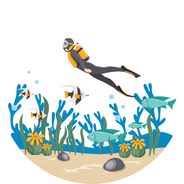 SCUBA DIVING COURSES